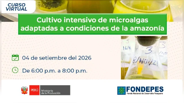 CAPACITACION