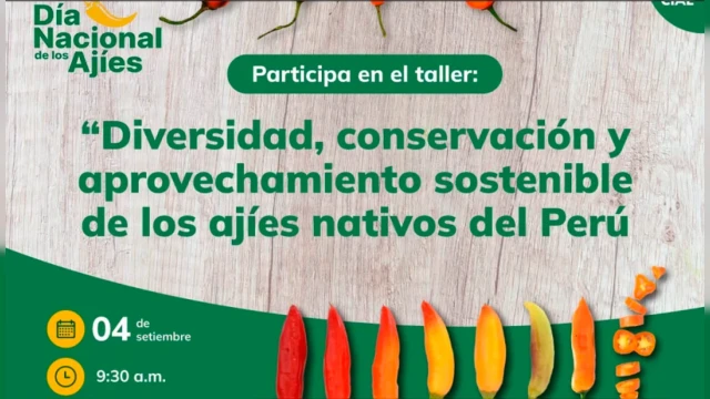 TALLER