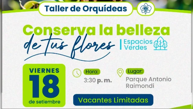TALLER