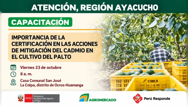 CAPACITACION