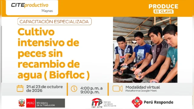 CAPACITACION