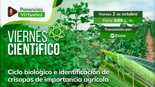 CAPACITACION