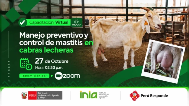 CAPACITACION