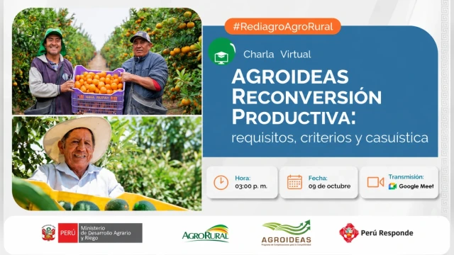 Charla online: " AGROIDEAS RECONVERSIÓN PRODUCTIVA: requisitos, criterios y casuística" Rediagro Region Piura