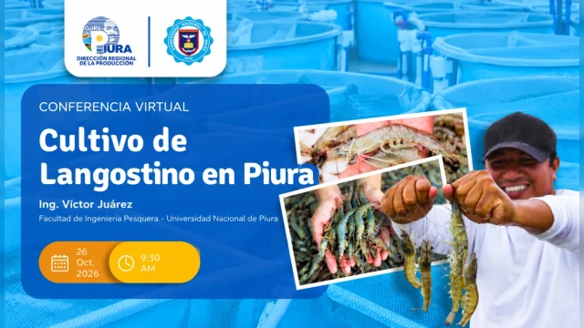 CONFERENCIA