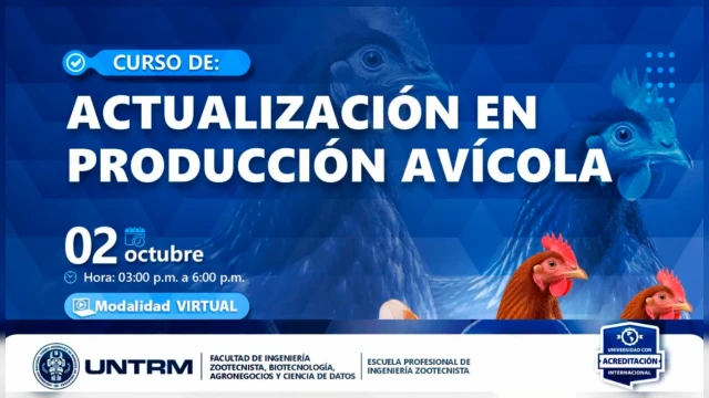 CURSO