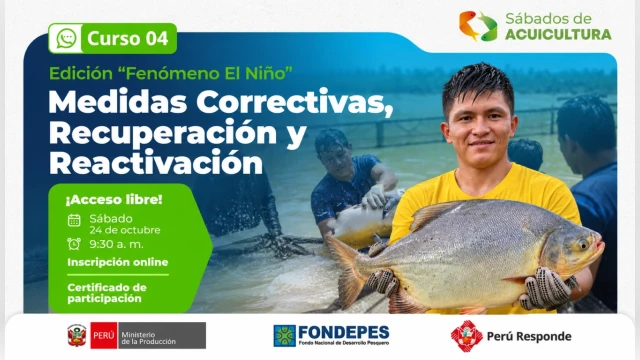 CURSO