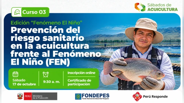 CURSO