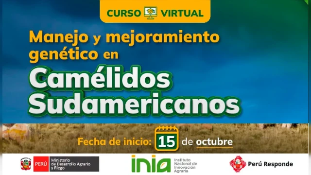 CURSO