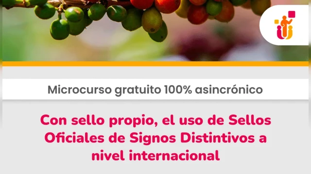 CURSO