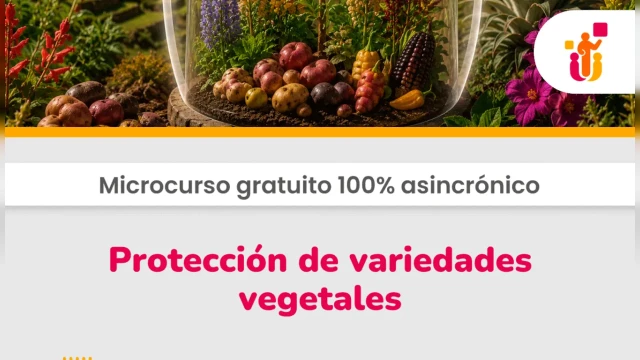 CURSO