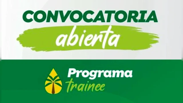 Programa Trainee 2026 | Grupo Palmas 
