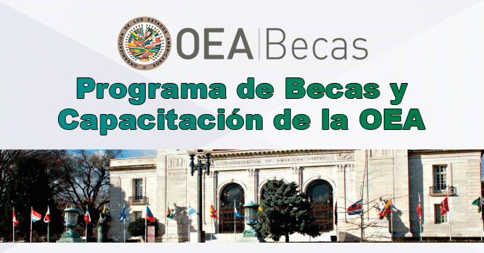 Becas OEA 2023 para Cursos y Diplomados online - PBDP