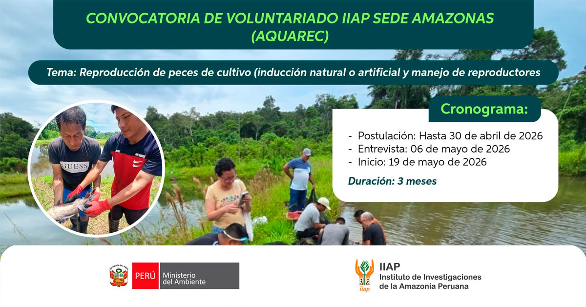  Programa de voluntariado 2026 - IIAP