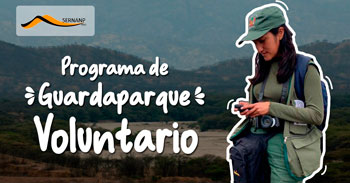 Programa Guardaparques Voluntarios del Parque Nacional del Río Abiseo 2025