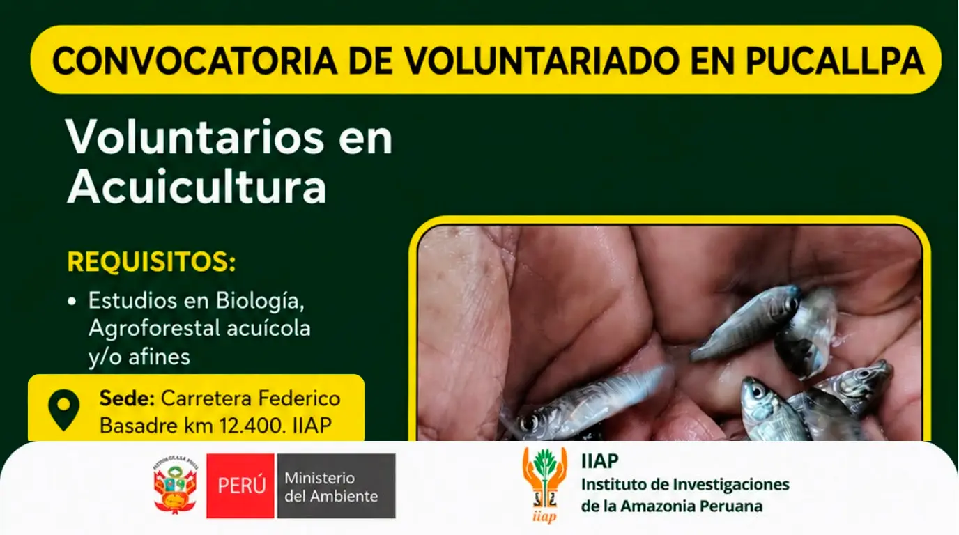  Programa de voluntariado 2026 - IIAP
