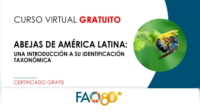 CURSO