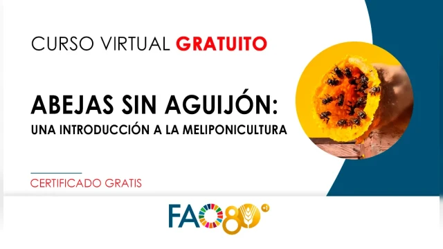 CURSO