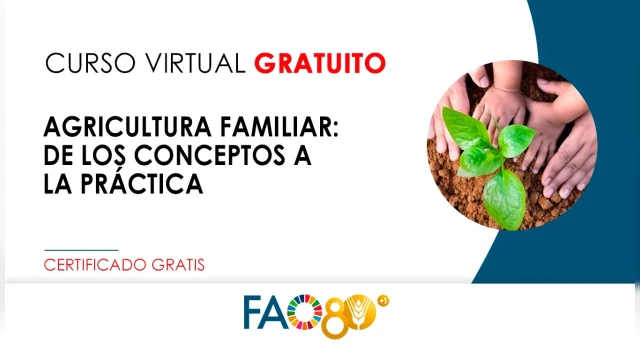 CURSO