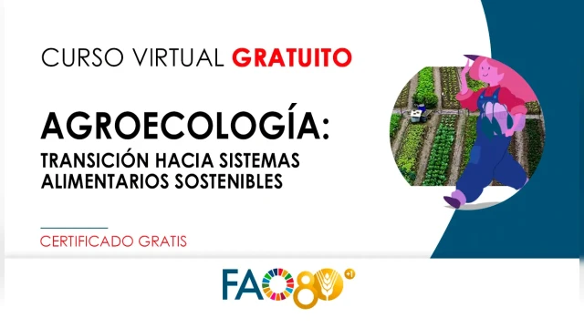 CURSO