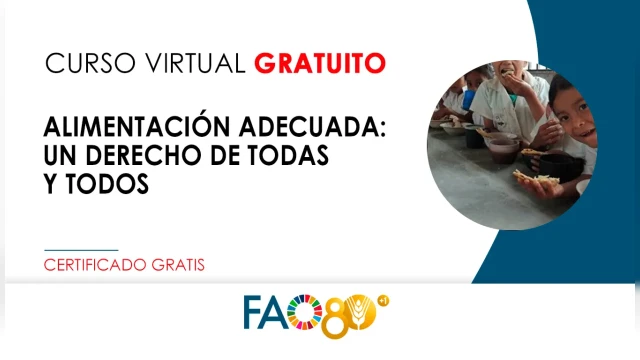 CURSO