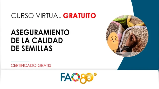 CURSO