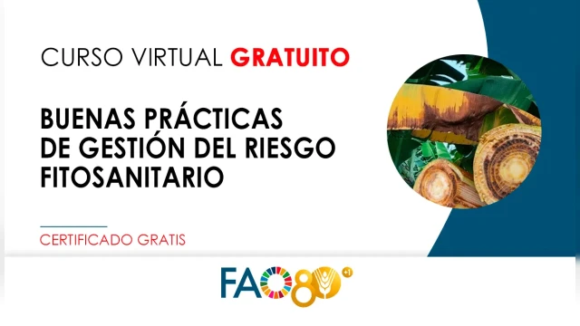 CURSO