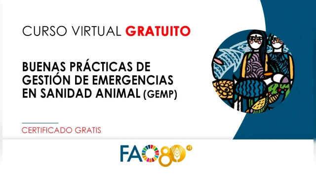 CURSO
