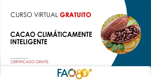 CURSO