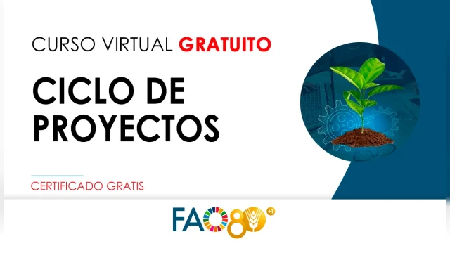 CURSO