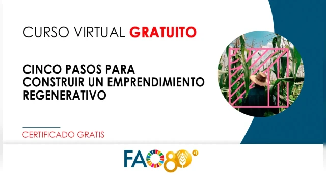 CURSO