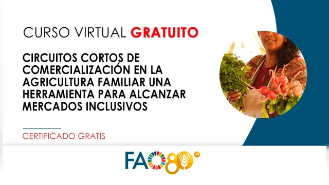 CURSO