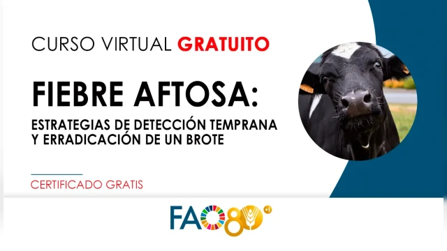 CURSO