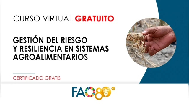 CURSO