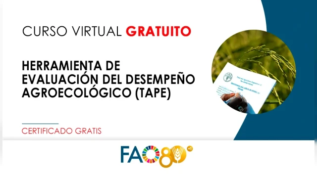 CURSO