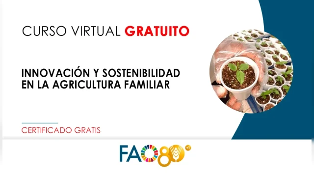 CURSO