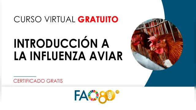 CURSO