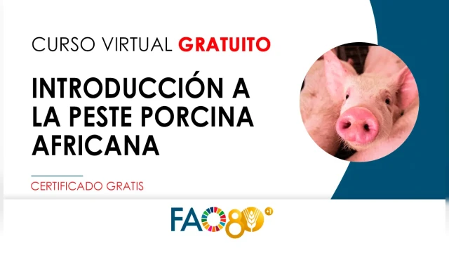 CURSO