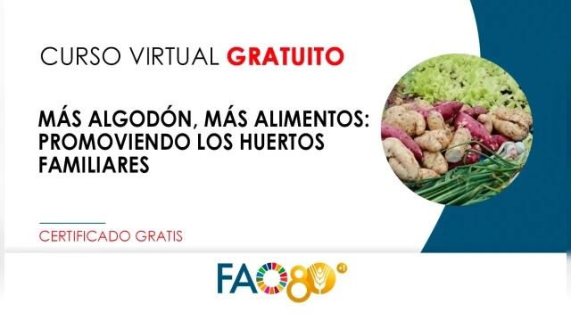 CURSO