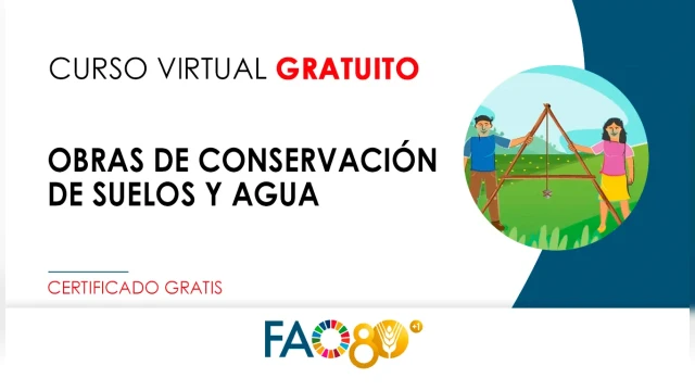 CURSO