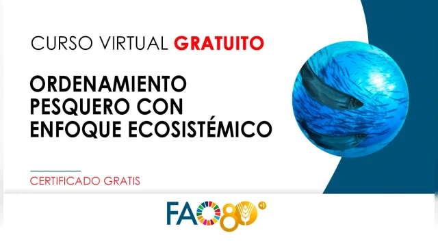 CURSO