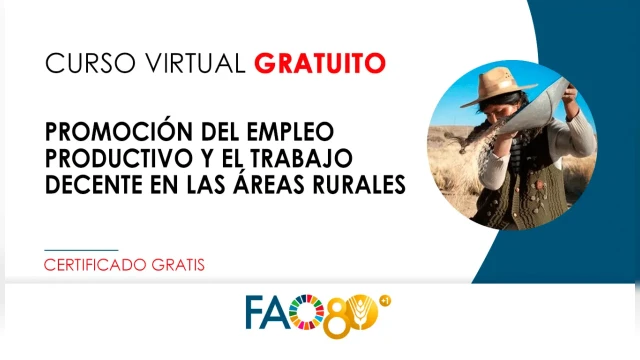 CURSO