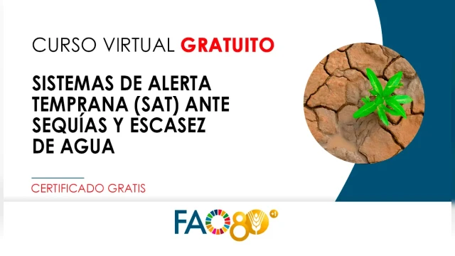 CURSO